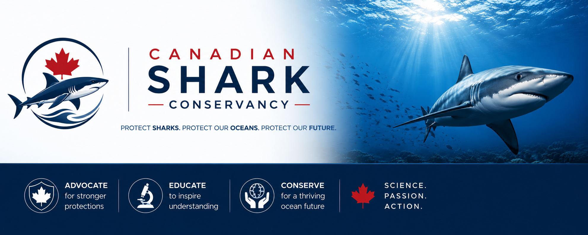 Canadian Shark Conservancy — Protect sharks. Protect our oceans. Protect our future.