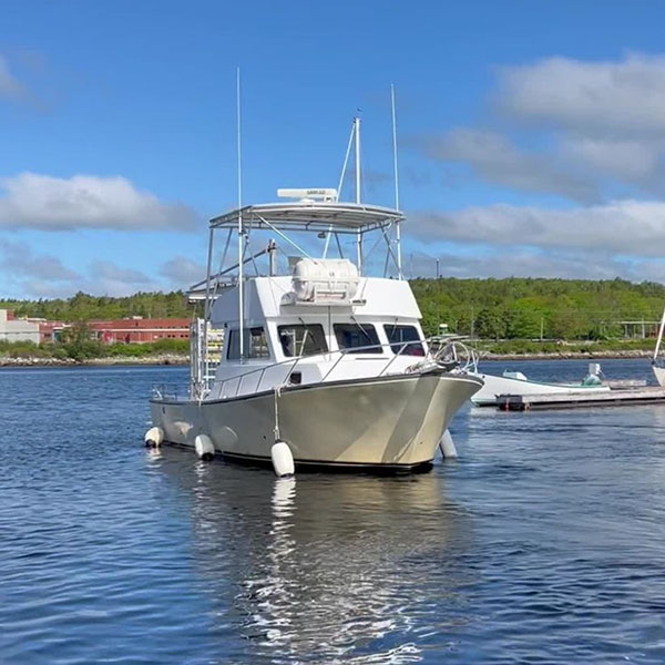 The Atlantic Shark Expeditions research vessel in a Nova Scotia harbour.