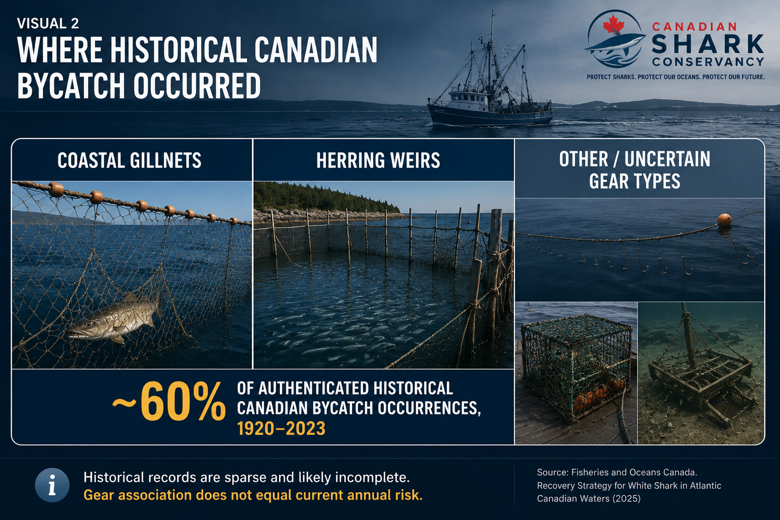 Historical Canadian white shark bycatch infographic comparing coastal gillnets, herring weirs and other or uncertain gear types.