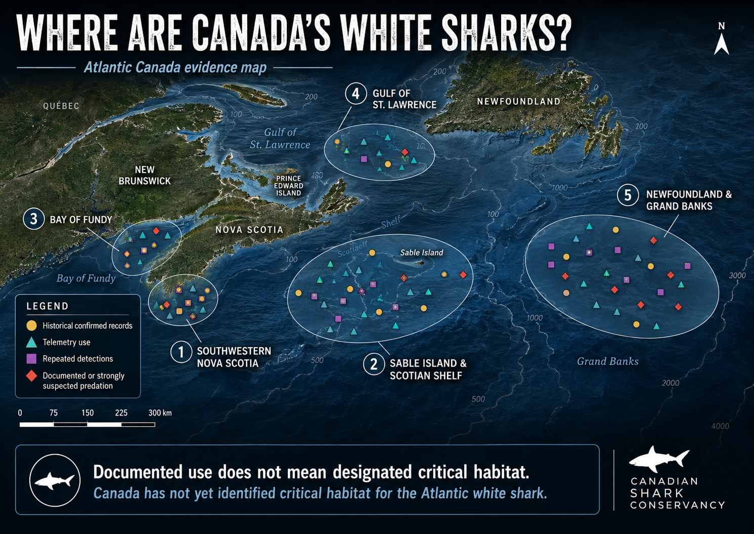 Atlantic Canada evidence map showing five broad white-shark research regions and several kinds of observation and tracking evidence.