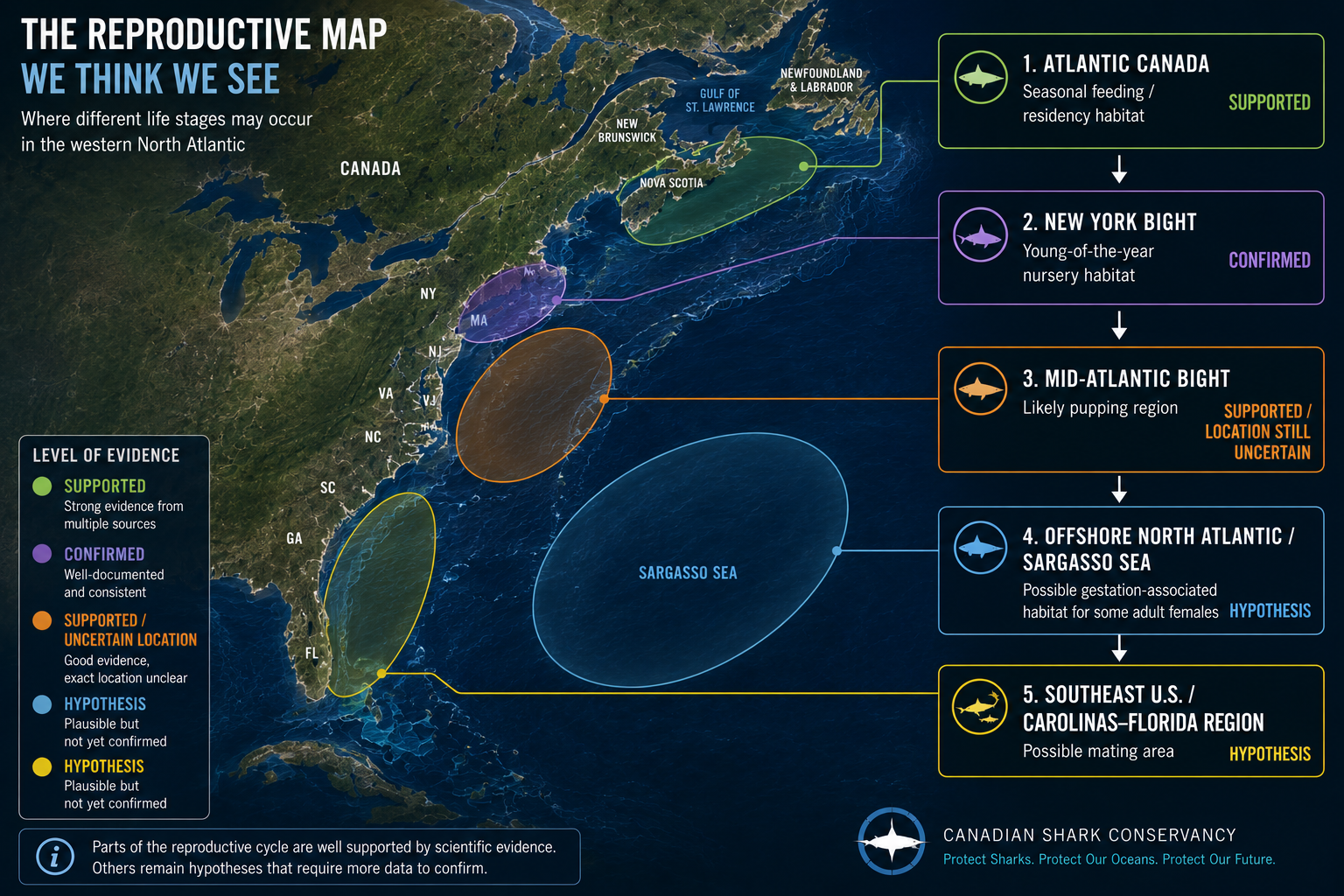 Western North Atlantic map showing supported and hypothesized white shark reproductive habitats from Atlantic Canada to Florida and the Sargasso Sea.